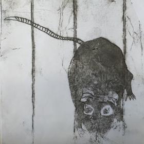 Uit de serie ‘VIncent van Gogh in Arles’, Tetradruk