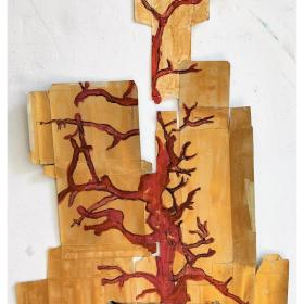 Bloedkoraal I, 2014, 73 × 44 cm, olie, acryl op verpakking