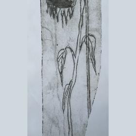 Uit de serie ‘VIncent van Gogh in Arles’, Tetradruk