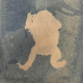 ‘Poedel’, 21 × 15 cm, cyanotypie