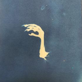 ‘Grauw’, 14,4 × 12 cm, cyanotypie