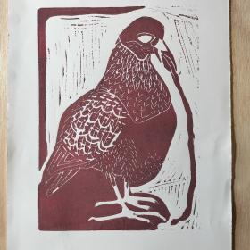 ‘Duif’, 21 × 15 cm, linosnede op papier